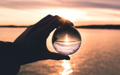 2012 Reflections